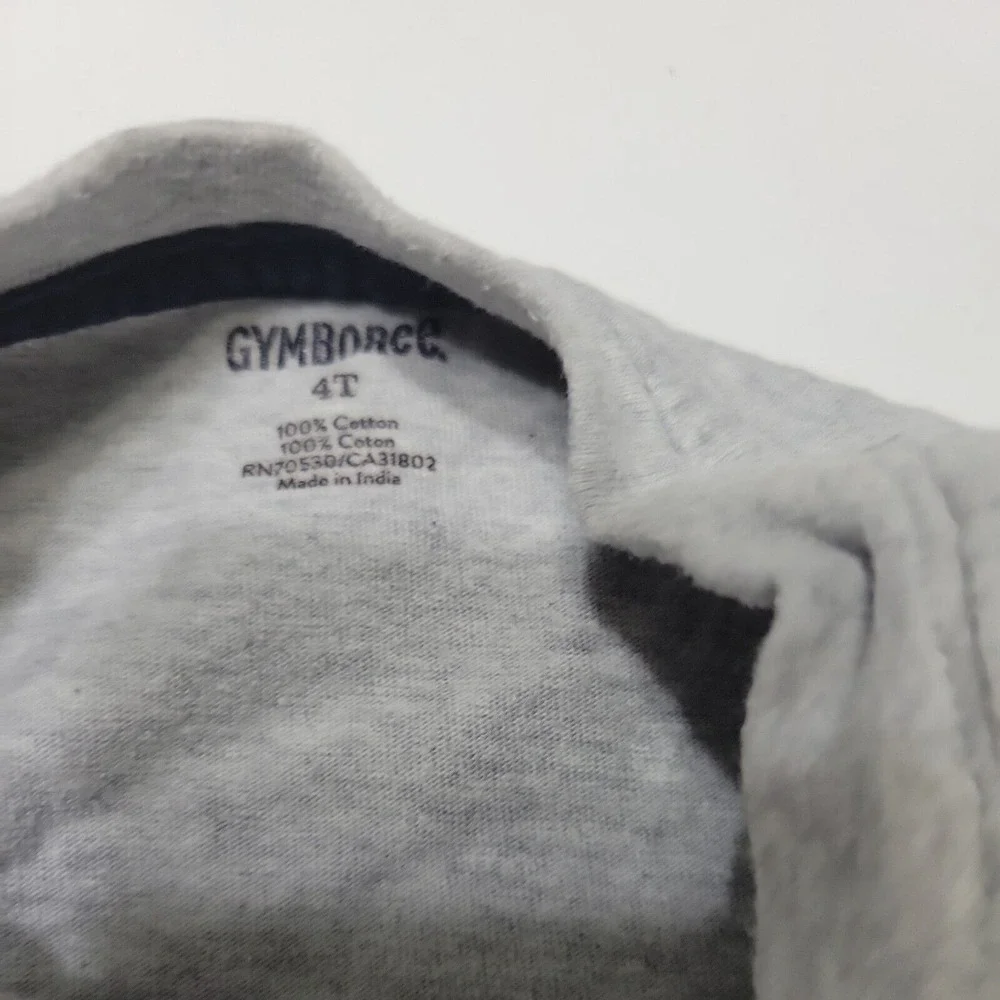 Gymboree birthday boys